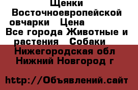 Щенки Восточноевропейской овчарки › Цена ­ 25 000 - Все города Животные и растения » Собаки   . Нижегородская обл.,Нижний Новгород г.